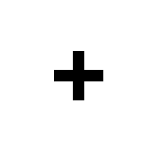 PusyFlayer's emblem