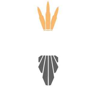 lkyjason's emblem