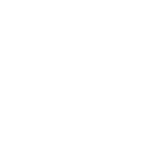 HeilHoltz's emblem