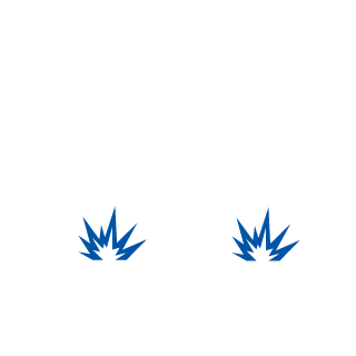 TDISFER1989's emblem