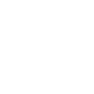 MoonSet416's emblem