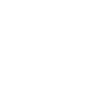 IN10289's emblem