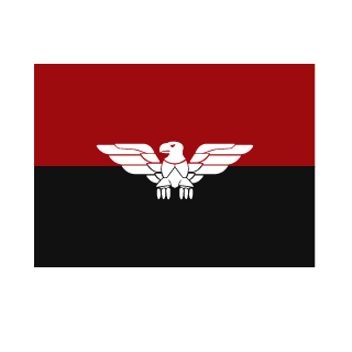 disco_vba's emblem