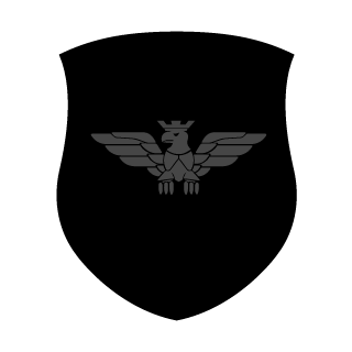 PixilatorPat's emblem