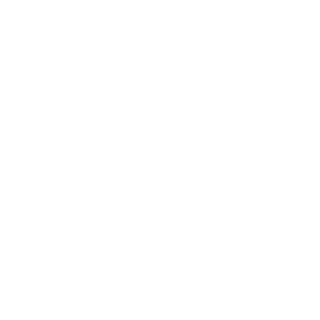 Psan1991's emblem