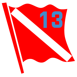 MrsMeatCurtn's emblem