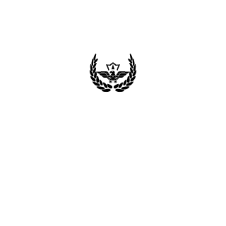 Alpha 146 Regiment's emblem