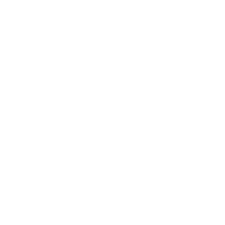 llNOTCHll's emblem