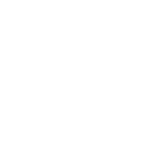 GxL AEGIS216's emblem