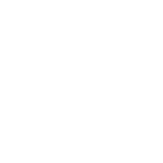 Zolot88's emblem