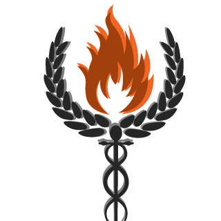 LeviAckerman64's emblem