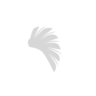 1mollek's emblem