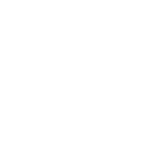 Despacito017's emblem