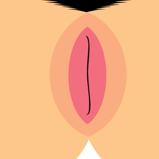 snipesskee's emblem