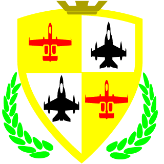 DogChasingCars1's emblem