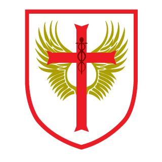 saturnesss47's emblem