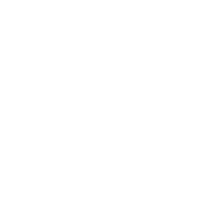SoldadoInvernalX's emblem
