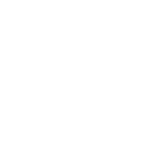 MAXBBLS's emblem