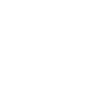 xxxElmax's emblem