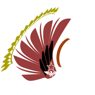 DO-HawkYK's emblem
