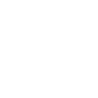 Strunker69's emblem