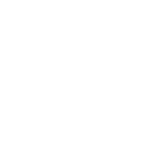 should011's emblem
