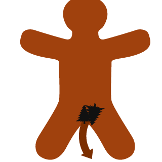 4FAZA's emblem