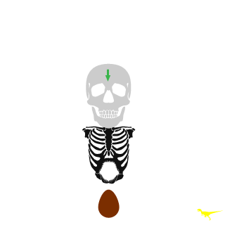 Softuu's emblem