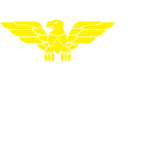 RealPlaya89's emblem