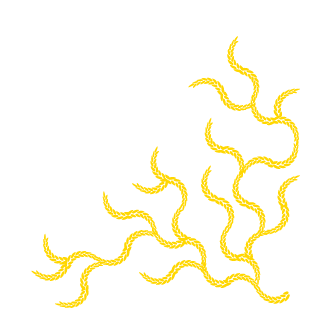 AkaviryKatana's emblem