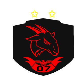 NeVeS07fn's emblem