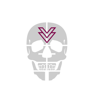 782d241b5de91d45's emblem