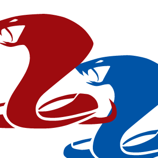 BosFight's emblem