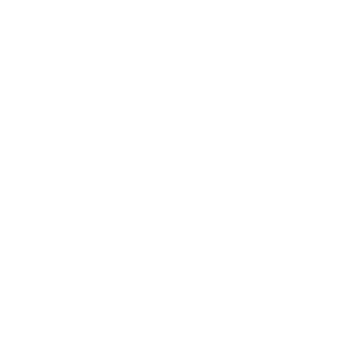 N33B-CrIspIn's emblem