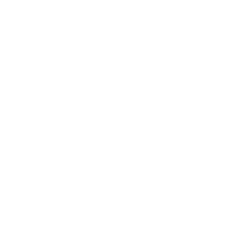 PRIKOLDANCE's emblem