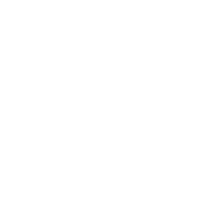 shadowhedgehogxx's emblem