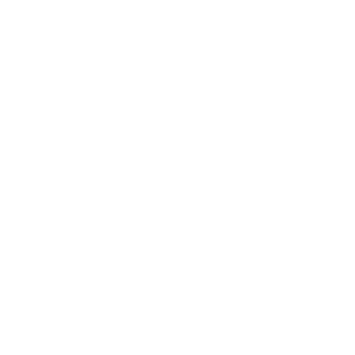 DAT_Chamelion's emblem