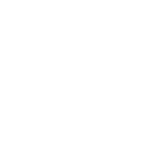 1NYSKO's emblem
