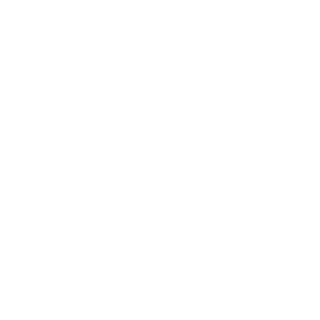 visazh's emblem