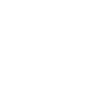 TheBrainBug's emblem