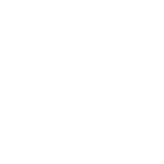 e7aff738e19d806a's emblem