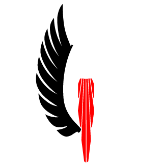 CFI-GRaBA-MgR87's emblem