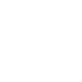 Circonn's emblem