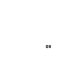 Weliz1337's emblem