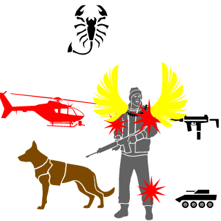 AstraKong's emblem