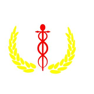 d5b008f53913638d's emblem