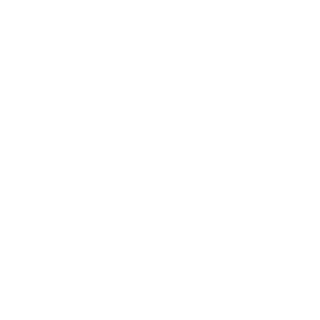 ntemo's emblem