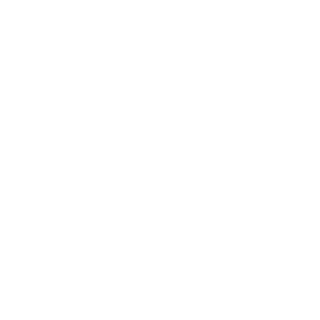 Alooosh1928's emblem