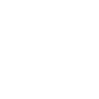 luizfrancozt's emblem