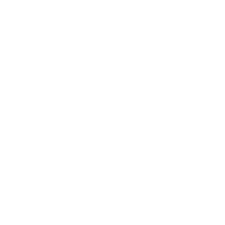 1Bogl1's emblem